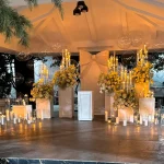 b8cec2d5-3d0f-48a1-8d4a-81ad2921b646